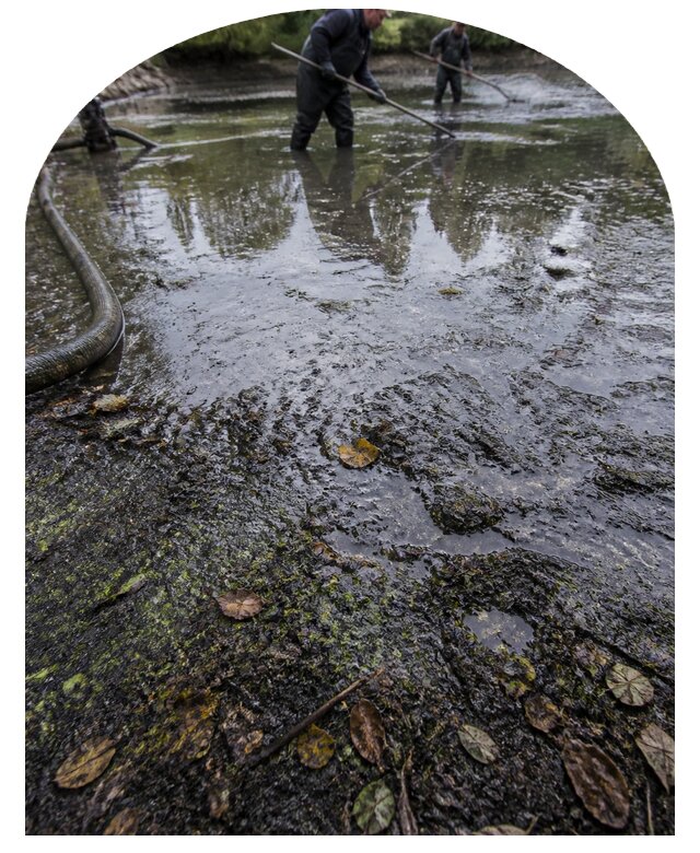 Очистка пруда в Спасске-Дальнем от ила мусора и водорослей с вывозом